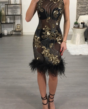  Sexy Mandarin Collar See-Through Sequins Decoration Maomao Hem Black Polyester Mini Dress(Without Subcoating)