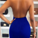 Sexy Turtleneck See-Through Backless Blue Polyester Sheath Knee Length Dress Sexy Turtleneck See-Through Backless Blue Polyester Sheath Knee Length Dress