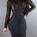 Sexy Turtleneck Long Sleeves Net Yarn Splicing Black Sheath Knee Length Dress Sexy Turtleneck Long Sleeves Net Yarn Splicing Black Sheath Knee Length Dress