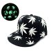 New Fashion Fluorescence Baseball Cap Women Men Snapback Caps Luminous Gorras Sport Casquette Hip Hop Cap Hat Drop Shipping