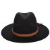 Autumn and winter men's fedora hat classical sombrero hairy headscarf imitation wool cap sunshade boys high quality hats bone