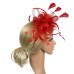 Banquet Fedoras Fascinator Headband Women Derby Day Party Hat Bridal Hair Accessory Wedding Cocktail Gift Feather Mesh Bowknot