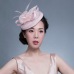 GEMVIE Pink Wedding Holiday Mesh Sinamay Fascinator Hat For Women Feather Flower Party Church Tea Derby Fedora Pillbox Hats