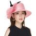 Kajeer Elegant Women Summer Autumn Bucket Hats Female Big Feather Mesh Decorate Bowler Church Hat Pink Net Yarn Hats Cap UV rays