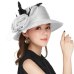 Kajeer Elegant Women Summer Autumn Bucket Hats Female Big Feather Mesh Decorate Bowler Church Hat Pink Net Yarn Hats Cap UV rays