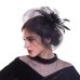 WELROG Fascinators Hat Women Flower Mesh Ribbons Feathers Fedoras Hat Headband or a Clip Cocktail Tea Party Headwewar for Girls