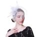 WELROG Fascinators Hat Women Flower Mesh Ribbons Feathers Fedoras Hat Headband or a Clip Cocktail Tea Party Headwewar for Girls