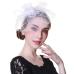 WELROG Fascinators Hat Women Flower Mesh Ribbons Feathers Fedoras Hat Headband or a Clip Cocktail Tea Party Headwewar for Girls