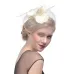 WELROG Feather Cap Lady Cocktail Dinner Party Fedoras Wedding Bridal  Mesh Veil Hats Vintage Sombreros Chapeau Fascinators Hat