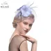 WELROG Feather Cap Lady Cocktail Dinner Party Fedoras Wedding Bridal  Mesh Veil Hats Vintage Sombreros Chapeau Fascinators Hat