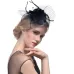 WELROG Feather Cap Lady Cocktail Dinner Party Fedoras Wedding Bridal  Mesh Veil Hats Vintage Sombreros Chapeau Fascinators Hat