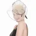 WELROG Feather Cap Lady Cocktail Dinner Party Fedoras Wedding Bridal  Mesh Veil Hats Vintage Sombreros Chapeau Fascinators Hat
