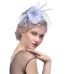 WELROG Feather Cap Lady Cocktail Dinner Party Fedoras Wedding Bridal  Mesh Veil Hats Vintage Sombreros Chapeau Fascinators Hat