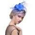 WELROG Feather Cap Lady Cocktail Dinner Party Fedoras Wedding Bridal  Mesh Veil Hats Vintage Sombreros Chapeau Fascinators Hat