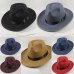 Winter Vintage Warm Sun-shade Panama Fshion   Gangster Cap Hard Wide Brim Fedora Trilby  Felt Hat British Style Women  Men