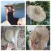 2019 Fashion Breathable Green Straw Beach Sun Hats For Women Hat Size 56-57 cm Cool Ladies Summer Hat Dropshipping Wholesale