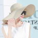 Elegant Style Summer Large Brim Straw Hat Adult Women Girls Fashion Sun Hat uv Protect Big Bow Summer Beach Hat