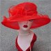 Summer Hat Women Kentucky Derby Wide Brim Sun Hat Wedding Church Sea Beach Hats for Women Floppy Ladies Hat