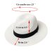 Summer Hat Women Panama Straw Hat Fedora Beach Vacation Wide Brim Visor Casual Summer Sun Hats for Women Sombrero 2019