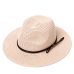 Summer Hat Women Panama Straw Hat Fedora Beach Vacation Wide Brim Visor Casual Summer Sun Hats for Women Sombrero 2019