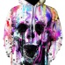 Skull headr Men Hoodies Sweatshirts 3D Printed Funny Hip HOP Hoodies Novelty Streetwear Hooded Autumn Jackets Mlae Tracksuits