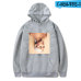 FADUN TOMMY Hoodies Kawaii Ariana Grande Print Sweatshirt Long Sleeve Women/men Clothes 2019 Hot Sale Casual Kpop Plus Size 4XL