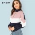 SHEIN Multicolor O-Ring Zip Front Cut and Sew Sweatshirt Athleisure Stand Collar Raglan Sleeve Sweatshirt Women Autumn Pullovers