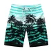 2019 New Summer Beach Men's Shorts Printing Casual Quick Dry Board Shorts Bermuda Mens Short Pants M-5XL 21 Colors