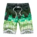 2019 New Summer Beach Men's Shorts Printing Casual Quick Dry Board Shorts Bermuda Mens Short Pants M-5XL 21 Colors