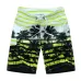 2019 New Summer Beach Men's Shorts Printing Casual Quick Dry Board Shorts Bermuda Mens Short Pants M-5XL 21 Colors