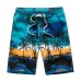 2019 New Summer Beach Men's Shorts Printing Casual Quick Dry Board Shorts Bermuda Mens Short Pants M-5XL 21 Colors