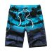 2019 New Summer Beach Men's Shorts Printing Casual Quick Dry Board Shorts Bermuda Mens Short Pants M-5XL 21 Colors