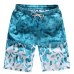 HEFLASHOR 13 Style Beach Shorts Trunks Men Summer Print Quick Dry Kilt Sportwear Short Bottom women Surfing Boardshorts swimsuit