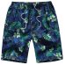 HEFLASHOR 13 Style Beach Shorts Trunks Men Summer Print Quick Dry Kilt Sportwear Short Bottom women Surfing Boardshorts swimsuit