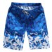 HEFLASHOR 13 Style Beach Shorts Trunks Men Summer Print Quick Dry Kilt Sportwear Short Bottom women Surfing Boardshorts swimsuit