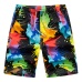 HEFLASHOR 13 Style Beach Shorts Trunks Men Summer Print Quick Dry Kilt Sportwear Short Bottom women Surfing Boardshorts swimsuit