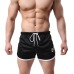 Laamei Quick Dry Clothes Mens New 2019 Casual Shorts Household Male Shorts Bandage Straps Inside Trunks Beach Casual Shorts