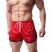 Laamei Quick Dry Clothes Mens New 2019 Casual Shorts Household Male Shorts Bandage Straps Inside Trunks Beach Casual Shorts