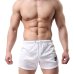 Laamei Quick Dry Clothes Mens New 2019 Casual Shorts Household Male Shorts Bandage Straps Inside Trunks Beach Casual Shorts