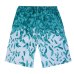 SHUJIN Torridity 2019 Shorts Men Fashion Printed Quick Dry Mens Beach Shorts Causal Drawstring Fitness Male Board Shorts Plus Size