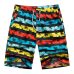 Summer Print Swiming Shorts Men Drawstring Casual Sunga Masculina Loose Quick Dry Board Shorts Elastic Waist Usa Beach Shorts