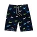 Summer Print Swiming Shorts Men Drawstring Casual Sunga Masculina Loose Quick Dry Board Shorts Elastic Waist Usa Beach Shorts