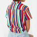 Blouse Women 2019 Summer Short Sleeve Chiffon Blouse Shirt Striped Turn Down Collar Office Shirt Casual Tops Plus Size Blusas