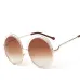 Luxury Vintage Round Big Oversized Lens Mirror Brand Designer Pink Sunglasses Lady Cool Retro UV400 Women Sun Glasses Unisex