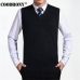 COODRONY 2019 New Arrival Solid Color Sweater Vest Men Cashmere Sweaters Wool Pullover Men Brand V-Neck Sleeveless Jersey Hombre