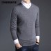 COODRONY Merino Wool Sweater Men Autumn Winter Thick Warm Sweaters And Pullovers Casual V-Neck Pure Wool Sweater Pull Homme 7305