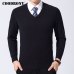 COODRONY Sweater Men Clothes 2019 Autumn Winter Cashmere Wool Pullover Sweaters Plus Size Business Casual V-Neck Pull Homme 8128