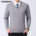 COODRONY Sweater Men Clothes 2019 Autumn Winter Cashmere Wool Pullover Sweaters Plus Size Business Casual V-Neck Pull Homme 8128