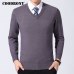 COODRONY Sweater Men Clothes 2019 Autumn Winter Cashmere Wool Pullover Sweaters Plus Size Business Casual V-Neck Pull Homme 8128