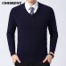 COODRONY Sweater Men Clothes 2019 Autumn Winter Cashmere Wool Pullover Sweaters Plus Size Business Casual V-Neck Pull Homme 8128